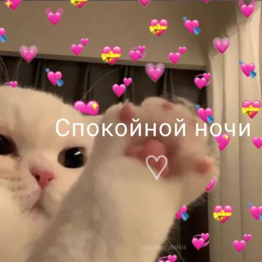 ❤️ Стикер «kitiiiiiikiiiii» для Telegram