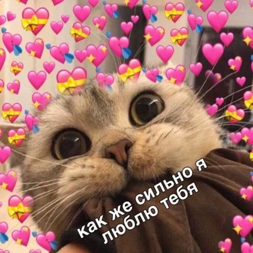 ❤️ Стикер «kitiiiiiikiiiii» для Telegram