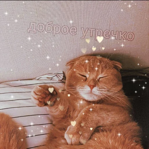 💗 Стикер «kitiiiiiikiiiii» для Telegram