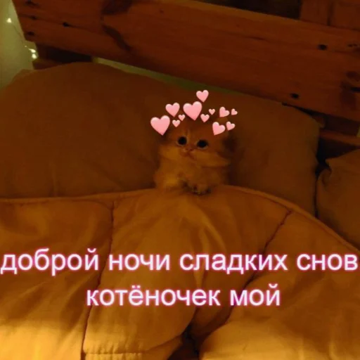 ❤️ Стикер «kitiiiiiikiiiii» для Telegram