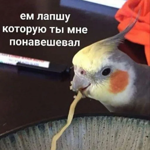 🍝 Стикер «kitiiiiiikiiiii» для Telegram