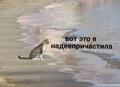 👀 Стикер «kitiiiiiikiiiii» для Telegram