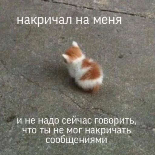😔 Стикер «kitiiiiiikiiiii» для Telegram