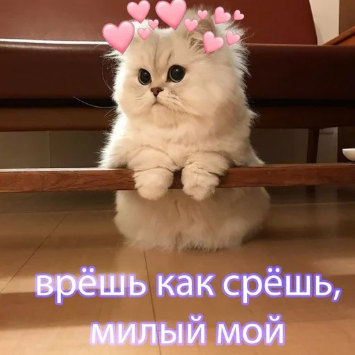 😗 Стикер «kitiiiiiikiiiii» для Telegram