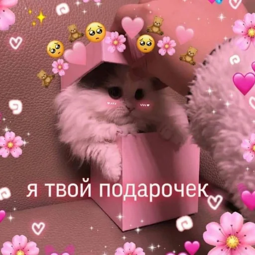 🥰 Стикер «kitiiiiiikiiiii» для Telegram