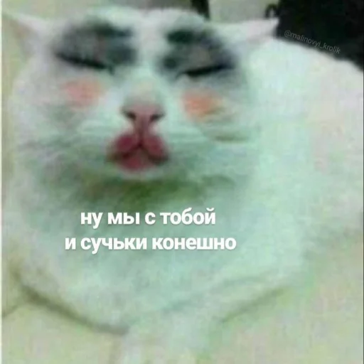 😘 Стикер «kitiiiiiikiiiii» для Telegram
