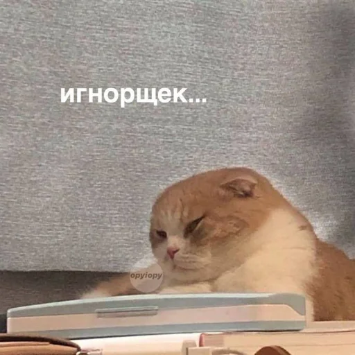 😒 Стикер «kitiiiiiikiiiii» для Telegram