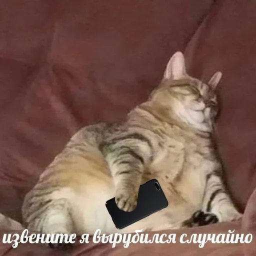 💤 Стикер «kitiiiiiikiiiii» для Telegram