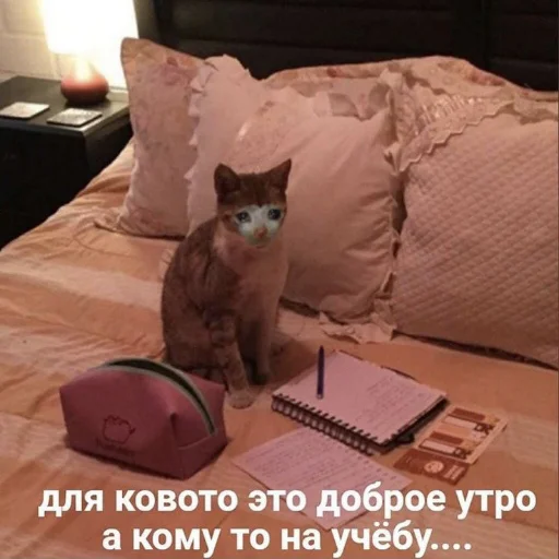 😢 Стикер «kitiiiiiikiiiii» для Telegram