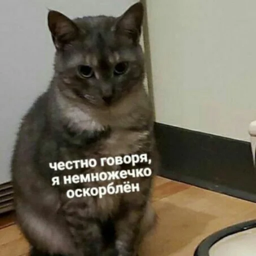 😞 Стикер «kitiiiiiikiiiii» для Telegram