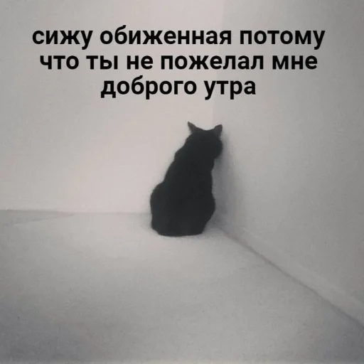 😕 Стикер «kitiiiiiikiiiii» для Telegram