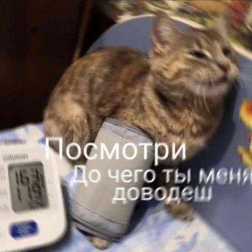 🙂 Стикер «kitiiiiiikiiiii» для Telegram