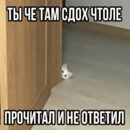 😤 Стикер «Китики» для Telegram