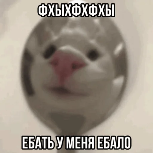 😁 Стикер «Китики» для Telegram