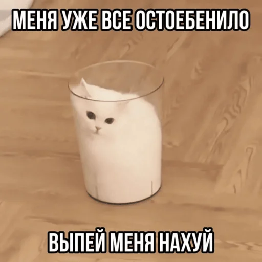 🫠 Стикер «Китики» для Telegram