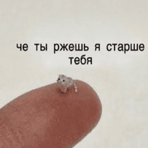 ☹️ Стикер «Китики» для Telegram
