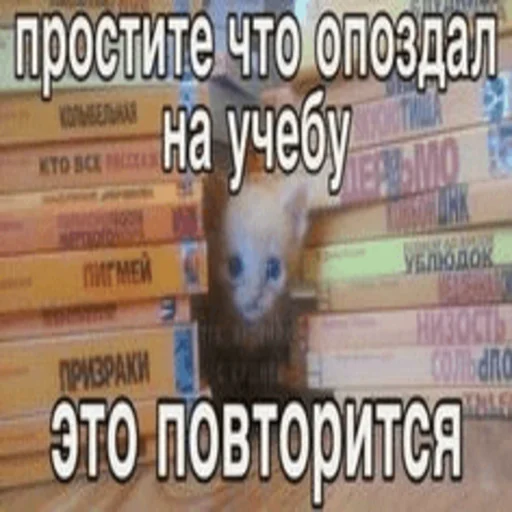 🤡 Стикер «Китики» для Telegram