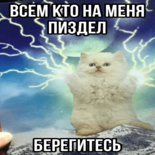 ⚡️ Стикер «Китики» для Telegram