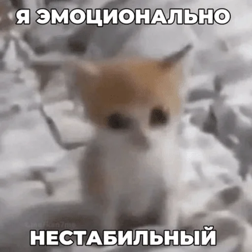 🫢 Стикер «Китики» для Telegram