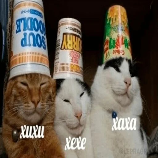 😄 Стикер «Китики» для Telegram
