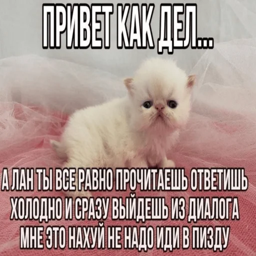 😖 Стикер «Китики» для Telegram