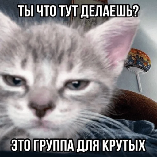 🤩 Стикер «Китики» для Telegram