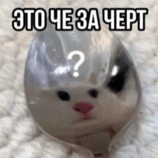 ❓ Стикер «Китики» для Telegram