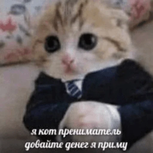 🤑 Стикер «Китики» для Telegram