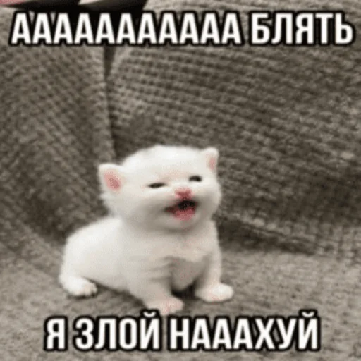 👿 Стикер «Китики» для Telegram