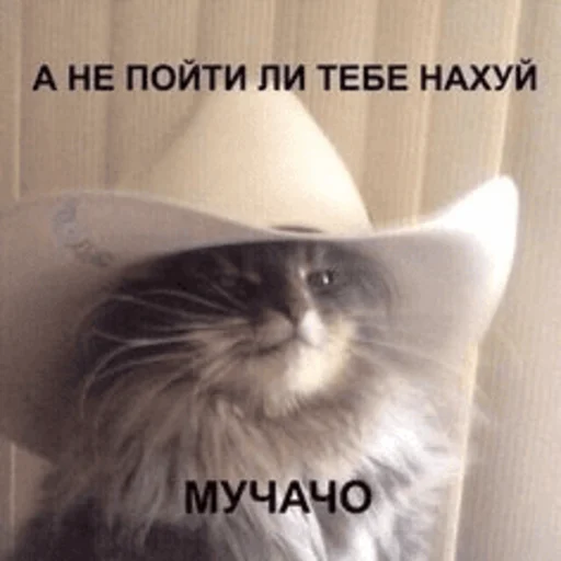 🤠 Стикер «Китики» для Telegram
