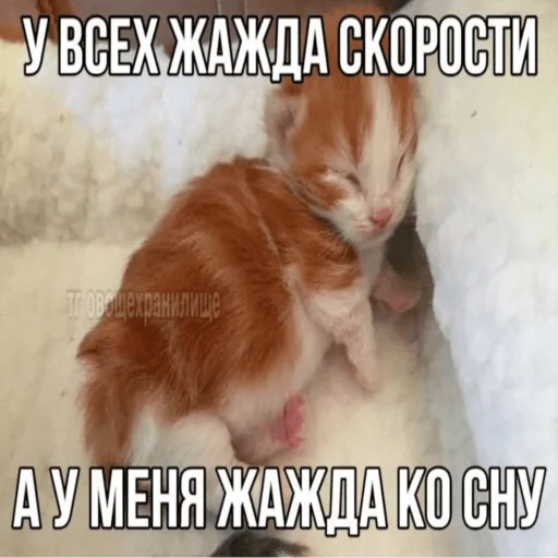 Стикерпак Китики для Telegram