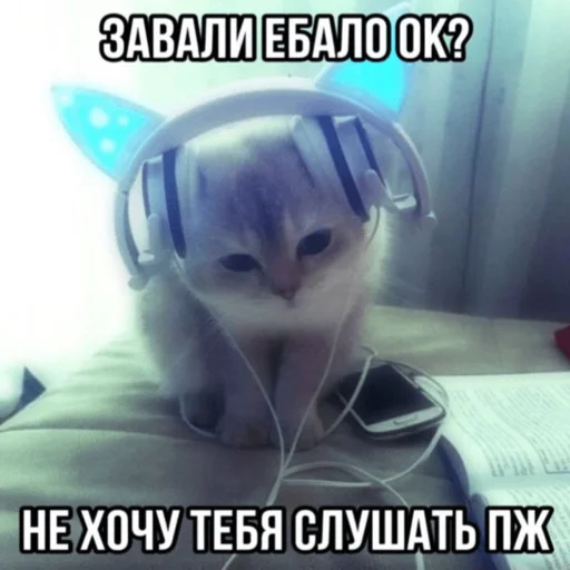 🎧 Стикер «Китики» для Telegram