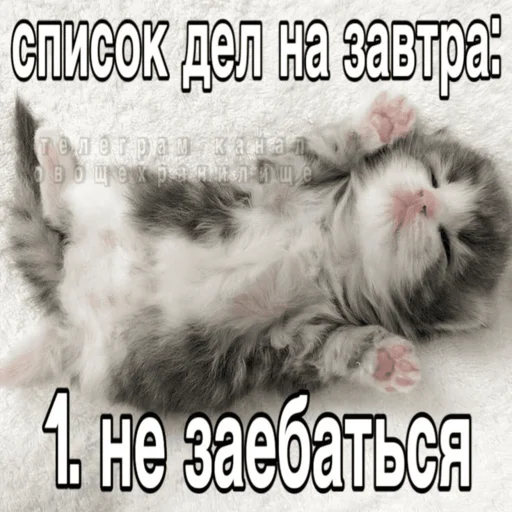 😎 Стикер «Китики» для Telegram
