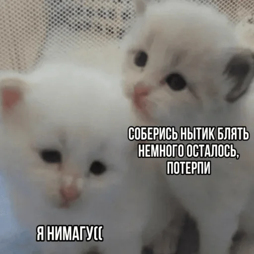😟 Стикер «Китики» для Telegram