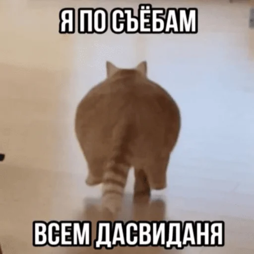 👋 Стикер «Китики» для Telegram