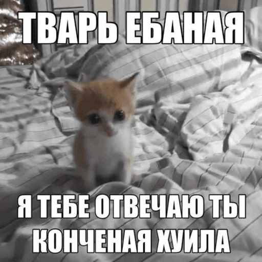 ❗️ Стикер «Китики» для Telegram