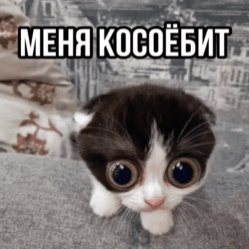 😧 Стикер «Китики» для Telegram