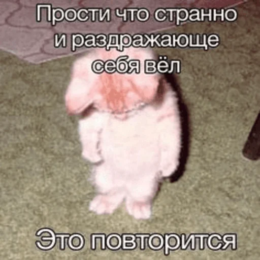😞 Стикер «Китики» для Telegram