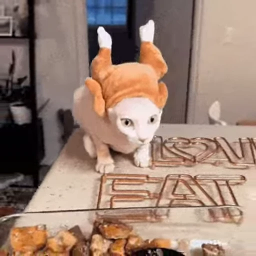 🤡 Стикер «kits» для Telegram