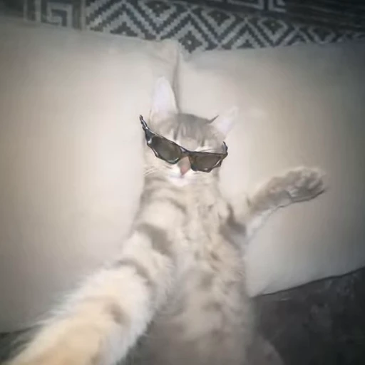 😎 Стикер «kits» для Telegram