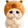 🙏 Эмодзи «Котик-капибара» для Telegram