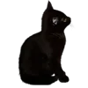 Стикер 17 Kitten      