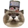 Стикер 6 Kitten      