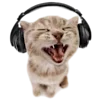 Стикер 13 Kitten      