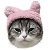 Стикер 2 Kitten      