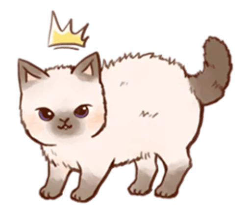 🙀 Стикер «Kitten daily» для Telegram