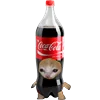 🥤 Эмодзи «Kitten Fruits Vegetables» для Telegram