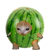🍉 Эмодзи «Kitten Fruits Vegetables» для Telegram