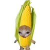 🌽 Эмодзи «Kitten Fruits Vegetables» для Telegram