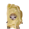 🥟 Эмодзи «Kitten Fruits Vegetables» для Telegram
